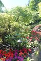 124 - Butchard Gardens  - IMG_1624